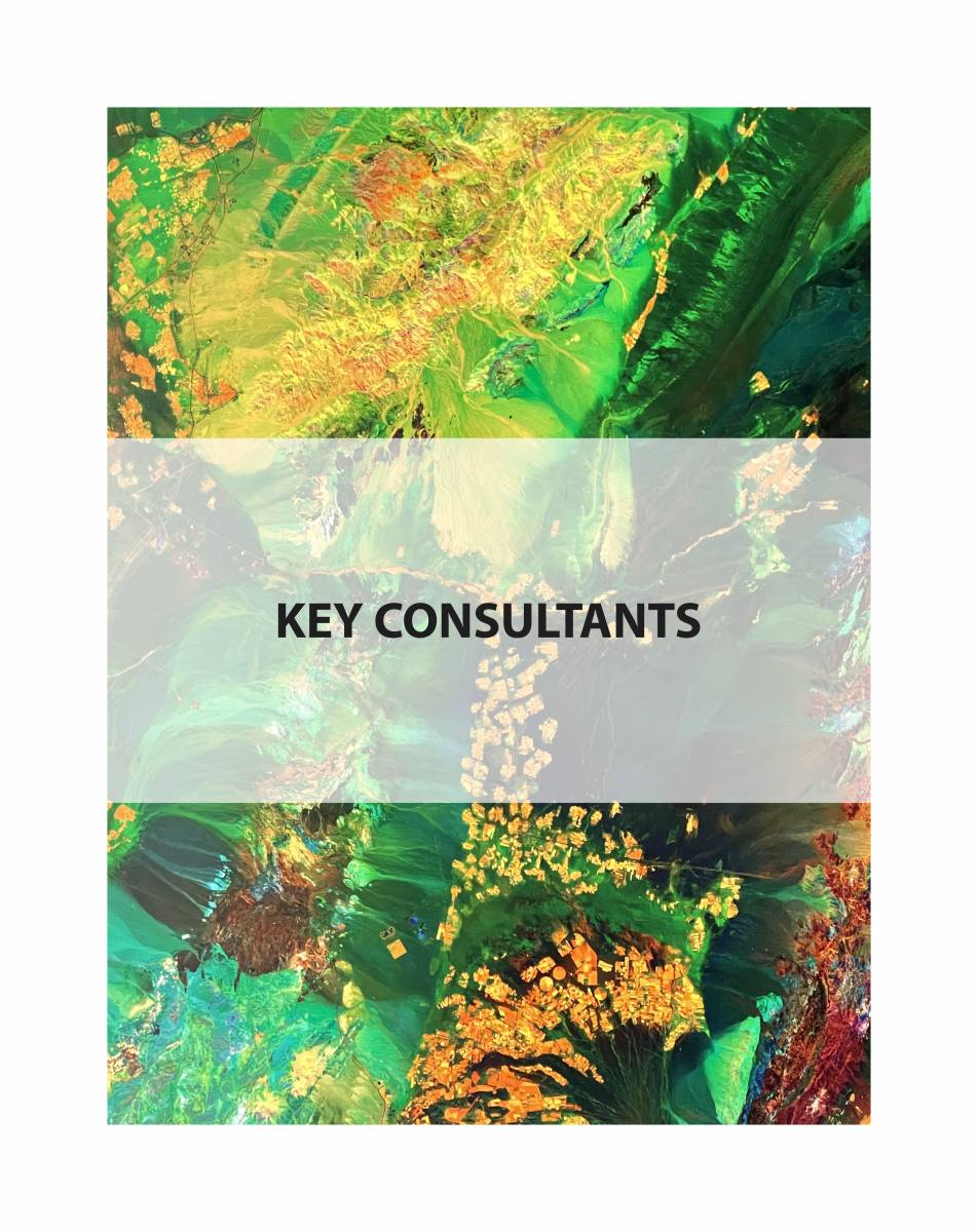 KEY CONSULTANTS